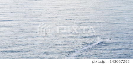 High angle minimalist view of a jet ski speeding across the calm blue sea leaving a white water wake. Activity 143067293