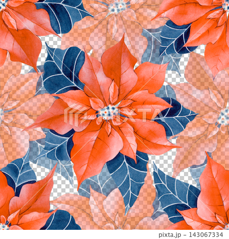 Winter holiday seamless pattern with watercolor poinsettia flowers in red tones with dark blue leaves over on a isolated background. For festive gift wrapping paper, greeting cards, and textile design 143067334