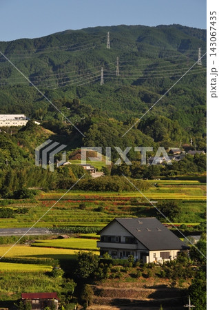 9月、大阪府日本の棚田100選、下赤坂の棚田 143067435