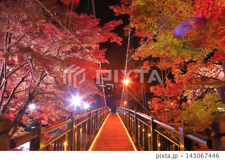 紅の吊橋 143067446