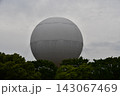 木々の上にそびえる気球 143067469
