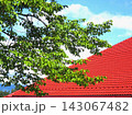 赤い屋根と緑の枝葉 143067482