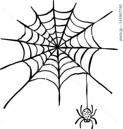 Halloween Spider Web, Spooky Hand Drawn Line Art Illustration 143067740