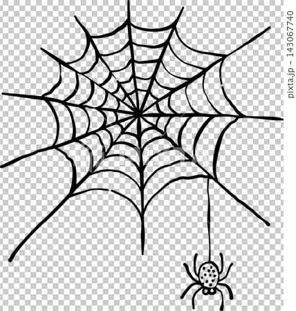 Halloween Spider Web, Spooky Hand Drawn Line Art Illustration 143067740