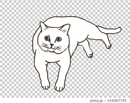 Lying cat Lying cat 143067745