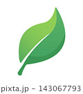 Green leaf icon with soft gradient and white vein. An eco friendly and nature concept isolated vector illustration 143067793