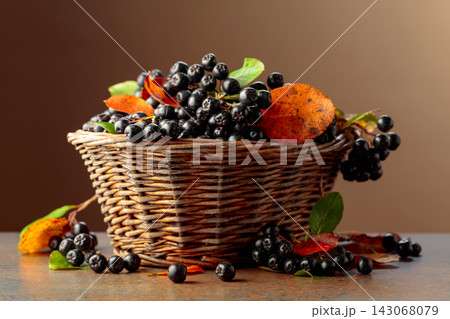 Fresh chokeberry with leaves in old basket. Fresh chokeberry with leaves in old basket. 143068079