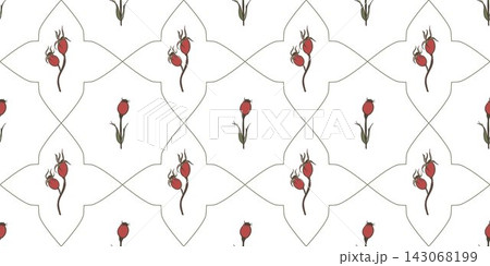 Vector seamless pattern preview with red rosehip berries and green geometric grid on white background. Botanical floral ornament for gift paper. 143068199