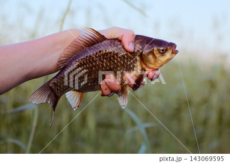 evening glow on a fishing at sunset. evening glow on a fishing at sunset. 143069595
