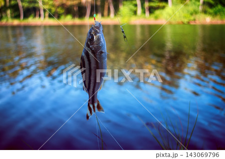 Fishing in India. Coral fish - sea fishing from shores 143069796