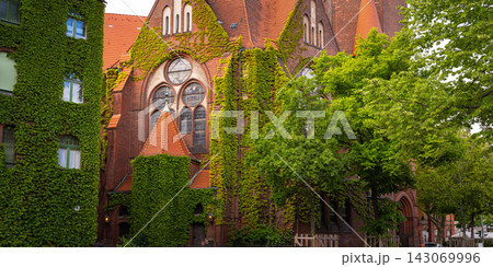 Ivy Covered Historic Church Facade and Green Trees Ivy Covered Historic Church Facade and Green Trees 143069996