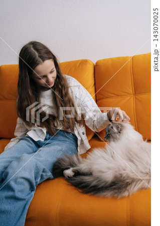 Tender moment as young girl with long brown hair gently strokes fluffy siberian cat, sitting together on vibrant orange couch in modern home. Calm, loving atmosphere showcasing human animal bond. 143070025