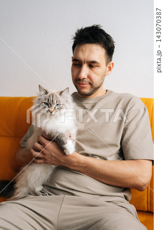 Portrait of elegant neva masquerade cat resting comfortably on male owner lap, sitting on orange sofa, sharing tranquil moment of companionship and coziness in home domestic setting. 143070387