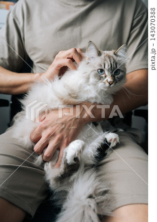 Vertical shot of male owner gently holding beautiful fluffy domestic neva masquerade cat providing comfort, displaying affection, enjoying peaceful companionship during a moment of relaxation. 143070388