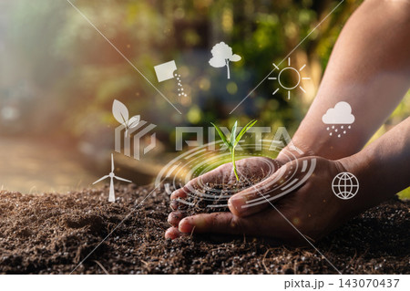 closeup hand of person holding abundance soil with young plant. Concept green world earth day 143070437