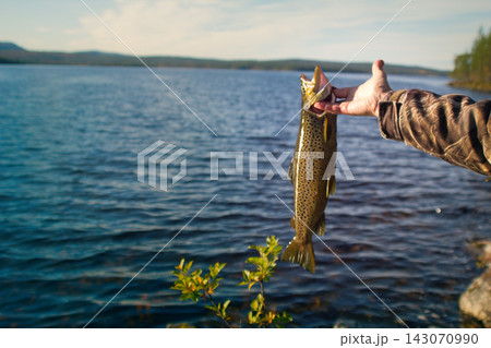 Spinning fishing (lure fishing) trout in lakes of Scandinavia. Spinning fishing (lure fishing) trout in lakes of Scandinavia. 143070990