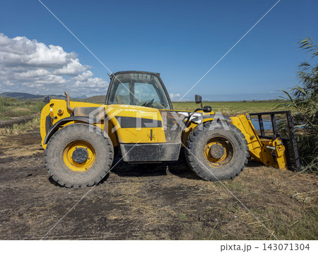 Telescopic handler parked in a field near tall reeds under a clear blue sky 143071304