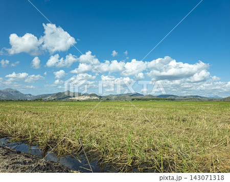 Panoramic view of harvested rice fields with water channels and mountains under a scattered cloud sky Panoramic view of harvested rice fields with water channels and mountains under a scattered cloud sky 143071318
