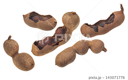 Tamarind pods isolated on white background full depth of field Tamarind pods isolated on white background full depth of field 143071776