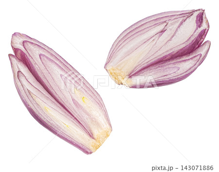 Shallot slices isolated on white background with clipping path Shallot slices isolated on white background with clipping path 143071886