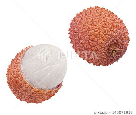 Falling lychee fruits isolated on white background full depth of field Falling lychee fruits isolated on white background full depth of field 143071919