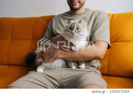Cute neva masquerade cat resting comfortably on male owner lap, sitting on orange sofa, sharing tranquil moment of companionship and coziness in home domestic setting. 143073305
