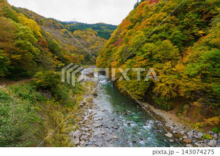 251031秋山郷屋敷 143074275