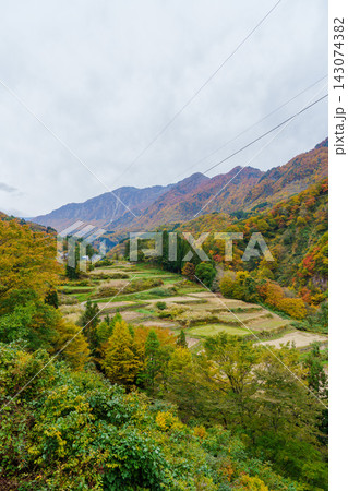 251031秋山郷小赤沢 143074382
