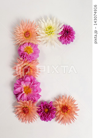 Letter C created from real, fresh dahlia flowers. Floral typography concept, floral font with colorful, vibrant flowers,A unique collection of letters and numbers for design. Creative idea for design 143074916