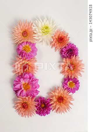 Letter D created from real, fresh dahlia flowers. Floral typography concept, floral font with colorful, vibrant flowers,A unique collection of letters and numbers for design. Creative idea for design 143074918