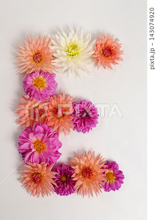 Letter E created from real, fresh dahlia flowers. Floral typography concept, floral font with colorful, vibrant flowers,A unique collection of letters and numbers for design. Creative idea for design 143074920