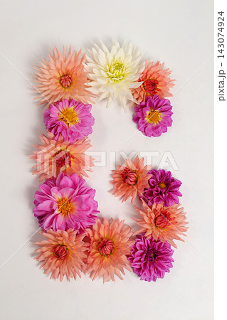 Letter G created from real, fresh dahlia flowers. Floral typography concept, floral font with colorful, vibrant flowers,A unique collection of letters and numbers for design. Creative idea for design 143074924