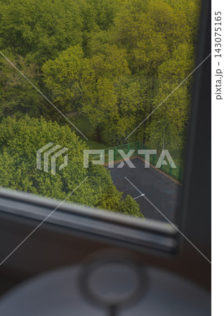 View from a Window Overlooking Trees and a Small Fenced Area View from a Window Overlooking Trees and a Small Fenced Area 143075165