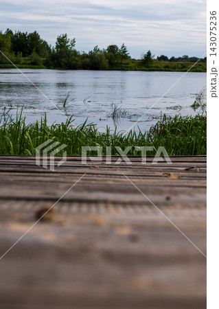 Wooden dock leads to reed lined freshwater under overcast sky Wooden dock leads to reed lined freshwater under overcast sky 143075236