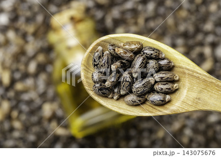castor oil spoon seeds, top view image castor oil spoon seeds, top view image 143075676