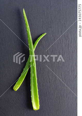 Aloe Vera Plant Leaves on Black Background Aloe Vera Plant Leaves on Black Background 143075775