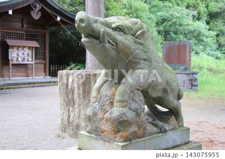 鹿児島県霧島市の和気神社の狛猪 鹿児島県霧島市の和気神社の狛猪 143075955