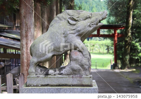 鹿児島県霧島市の和気神社の狛猪 鹿児島県霧島市の和気神社の狛猪 143075958