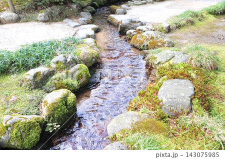 苔むす石の間を流れる兼六園の清らかな曲水 苔むす石の間を流れる兼六園の清らかな曲水 143075985