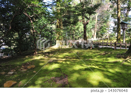 木漏れ日が照らす兼六園の美しい苔庭 木漏れ日が照らす兼六園の美しい苔庭 143076048