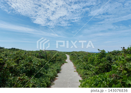 舳倉島 草原の小道 夏空 舳倉島 草原の小道 夏空 143076836