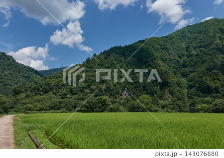 菅沼 青田 夏の空 菅沼 青田 夏の空 143076880