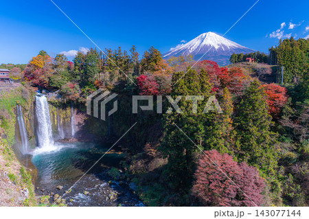 【富士山素材】秋の風景・紅葉シーズンの音止の滝と富士山【静岡県】 【富士山素材】秋の風景・紅葉シーズンの音止の滝と富士山【静岡県】 143077144