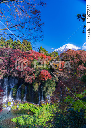 【富士山素材】紅葉の白糸の滝と冠雪した富士山【静岡県】 143077231