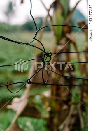 Close up of twisted wire fence in nature 143077286