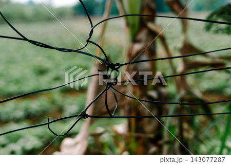 Close-up of Tied Black Wire Fence with Blurred Green Background 143077287
