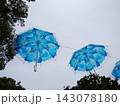 空に咲く紫陽花 143078180