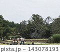 池を鑑賞 143078193