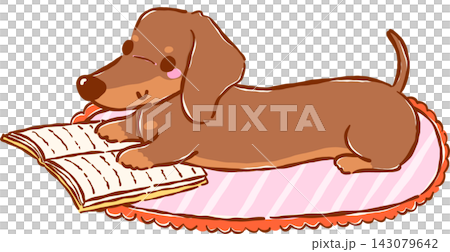 Cute Dachshund Bookish Reading Book on Carpet Hand Drawn Illustration Cute Dachshund Bookish Reading Book on Carpet Hand Drawn Illustration 143079642