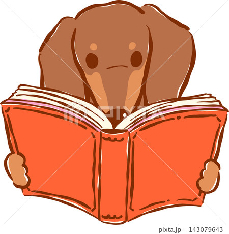 Cute Brown Dachshund Bookish Reading Book Hand Drawn Illustration Cute Brown Dachshund Bookish Reading Book Hand Drawn Illustration 143079643